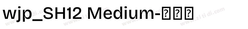 wjp_SH12 Medium字体转换 wjp_SH12 Medium字体转换